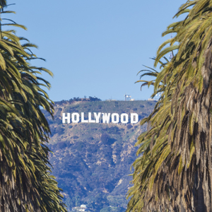 Hollywood Sign Through Palm Trees